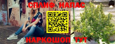 бошки Будённовск