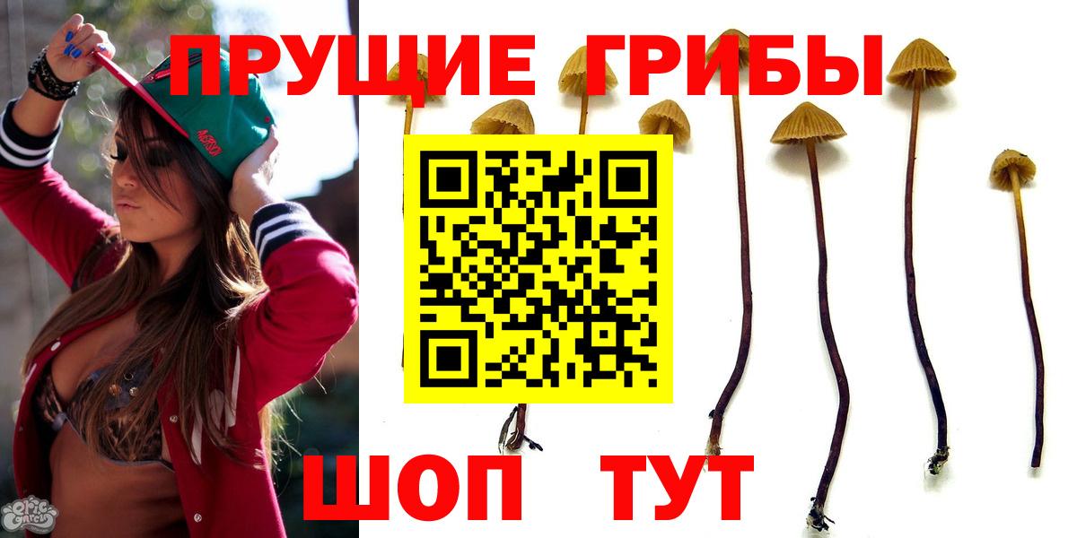 Новочеркасск  Псилоцибиновые грибы GOLDEN TEACHER  Вход с VPN 